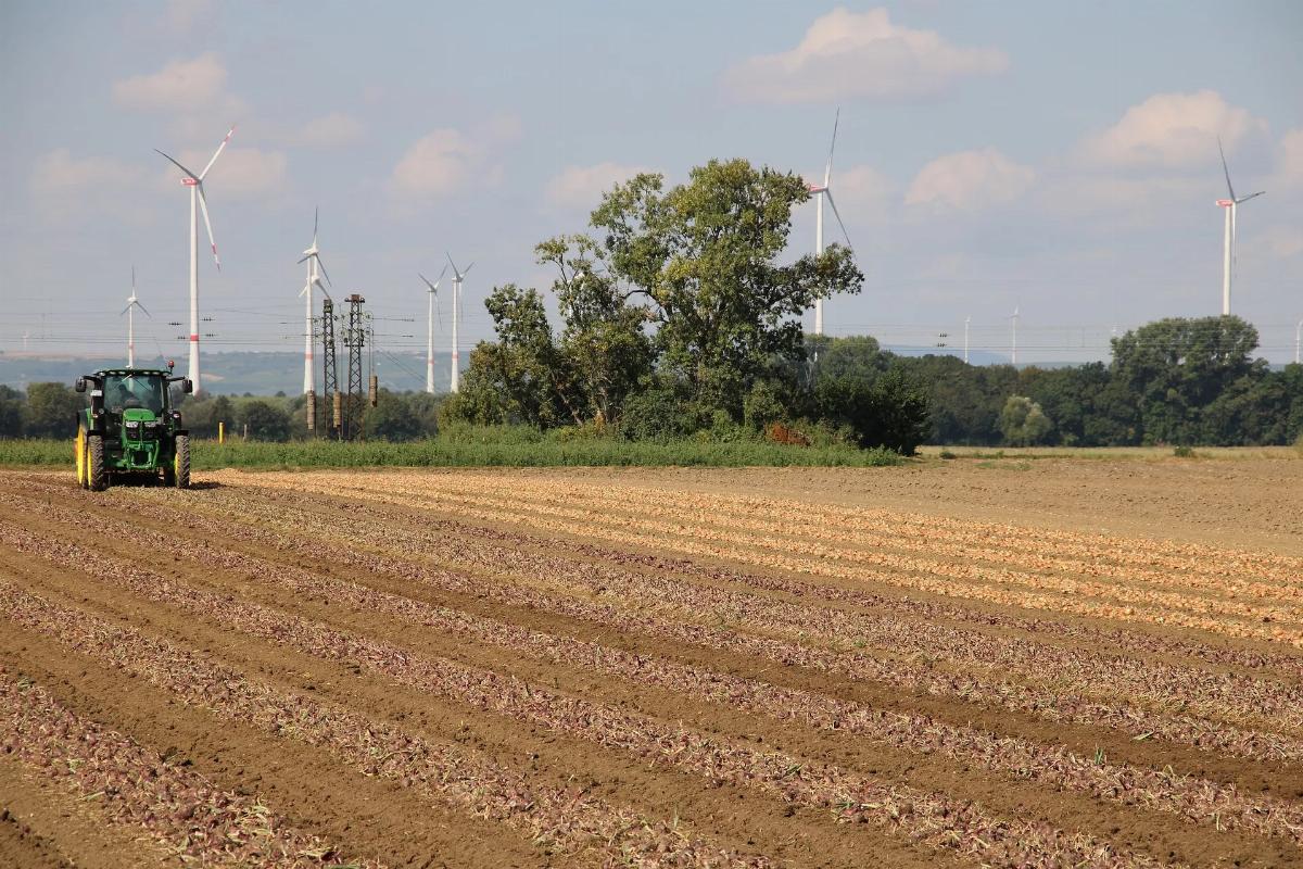 Fertilizzanti chimici: cosa sono e a cosa servono? 2 Fertilizzanti chimici: cosa sono e a cosa servono? 1