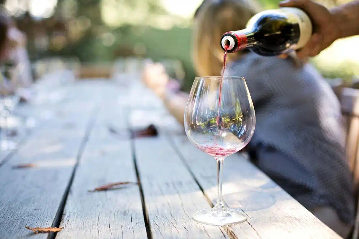 Quali sono i vini tipici delle Langhe? Scopriamoli insieme 1